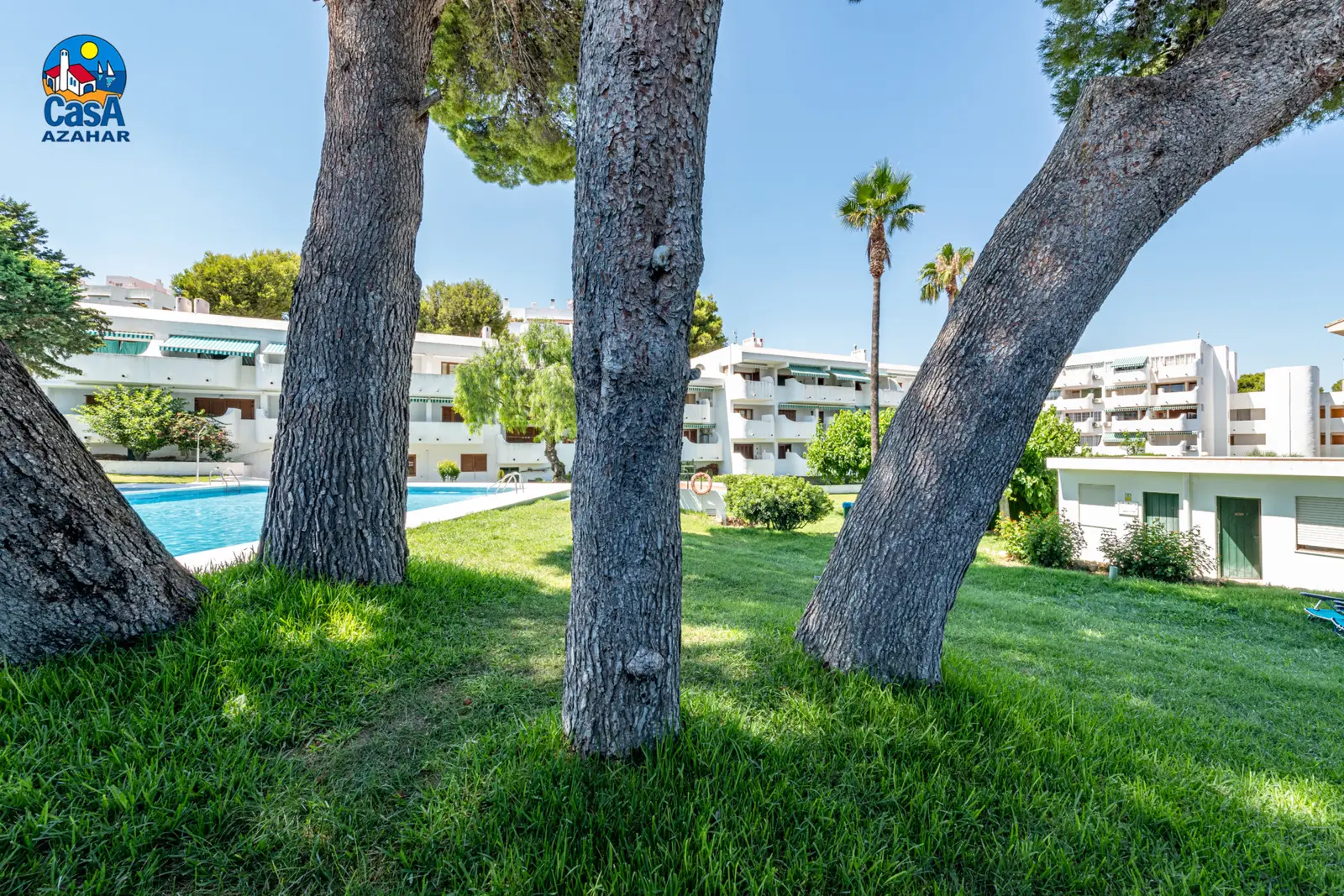 Jardin avec pins et piscine des studios Arcos II, à Las Fuentes (Alcossebre)